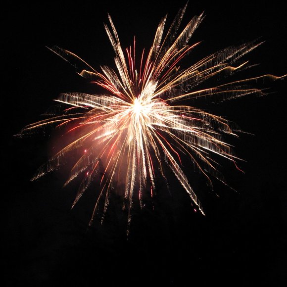 Meet your Posher, Gina - Picture 1 of 1